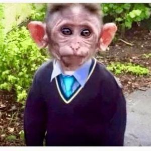 Meet your Posher, Cyril